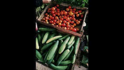 தாறுமாறு எகிறும் தக்காளி.. இன்று மேலும் 30 ரூபாய் உயர்வு.. ஒரு கிலோ எவ்வளவு தெரியுமா?