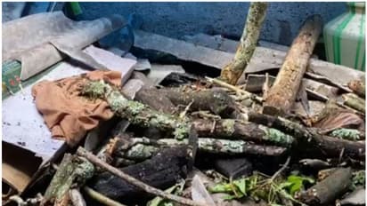 3 കുടുംബങ്ങൾ താമസിക്കുന്ന വീട്, കൈ കഴുകാനായി ചന്ദ്രലേഖ പുറത്ത് ഇറങ്ങിയിരുന്നില്ലെങ്കിൽ...; ഒഴിവായത് വൻ ദുരന്തം