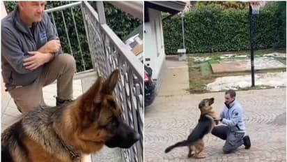 വര്‍ഷങ്ങള്‍ക്ക് ശേഷം ഉടമസ്ഥനെ കണ്ട നായയുടെ പ്രതികരണം നോക്കൂ; വീഡിയോ...