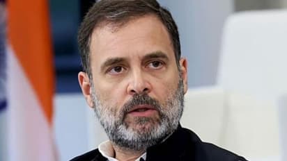 Karnataka HC refuses to quash FIR against Rahul Gandhi, 2 Congress leaders for KGF music copyright