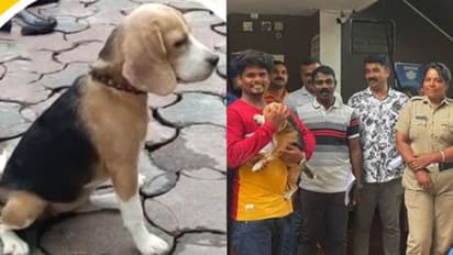 അത് 'കുട്ടിമാളു, അല്ല 'ബെല്ല'; 2 ഡസന് ഉടമകളില് നിന്ന് യഥാര്ത്ഥ 'മുതലാളി'യെ കണ്ടെത്തി പൊലീസ്