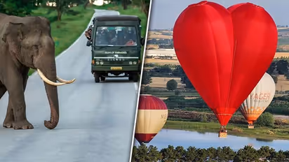 Hot Air Balloon rides to Wild Life Safari: 7 adventurous activities for adrenaline enthusiasts when in Delhi