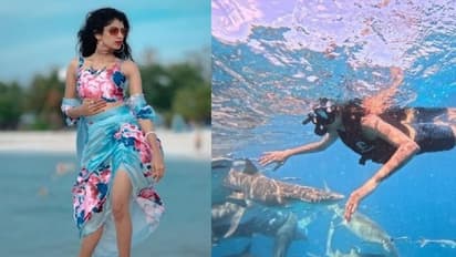 സ്രാവുകള്ക്കൊപ്പം നീന്തി ശ്രുതി രജനീകാന്ത്: ഗ്ലാമറായി വീഡിയോ