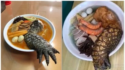 'ഇതെന്താ മുതലയുടെ കാലോ' ;  സോഷ്യൽ മീഡിയയിൽ ശ്രദ്ധ നേടുകയാണ് ഈ വിഭവം