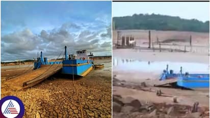 ಮಳೆಗಾಲದಲ್ಲಿಯೂ ಒಣಗಿನಿಂತ ಪಶ್ಚಿಮ ಘಟ್ಟದ ಕಾಡು, ನದಿಗಳು: ಇದು ಅರಣ್ಯನಾಶದ ಮರುಹೊಡೆತ