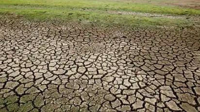 ಮುಂಗಾರು ಮಳೆ ಕೊರತೆ: ರಾಜ್ಯದ 508 ಕೆರೆಗಳಲ್ಲಿ ಒಂದು ಹನಿ ನೀರಿಲ್ಲ!