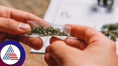 గంజాయి అమ్ముతున్న డాగ్ ట్రైనర్.. పట్టుబడకుండా పోలీసు దుస్తుల్లో కనిపిస్తే దాడిచేసేలా కుక్కలకు ట్రైనింగ్.. 