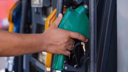 వాహనదారులకు రిలీఫ్.. నేడు స్థిరంగా ఇంధన ధరలు.. ఒక లీటరు పెట్రోల్ డీజిల్ ధర ఎంతంటే..?