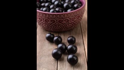 డయాబెటీస్ పేషెంట్లు నేరేడు పండ్లను తింటే ఏమౌతుందో తెలుసా? 