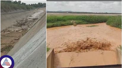 ತುಮಕೂರು ತಲುಪಿದ ಹೇಮಾವತಿ ನೀರು: ಕುಡಿಯುವ ನೀರಿನ ಆತಂಕ ದೂರ