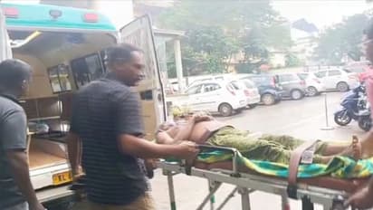 Kerala: Wild elephant strikes two men during morning stroll; One left with rib injury