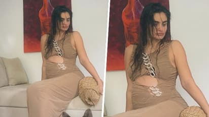 Arjun Rampal's girlfriend Gabriella Demetriades shows off baby bump in expensive maxi dress, know its cost!