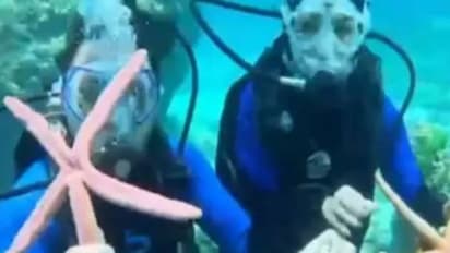 നക്ഷത്രമത്സ്യവുമായി സെൽഫി, ചൈനീസ് വിനോദസഞ്ചാരികൾക്ക് തായ്ലാൻഡിൽ തടവും പിഴയും