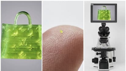 ಕಲ್ಲುಪ್ಪಿಗಿಂತ ಚಿಕ್ಕದಾದ ಲೂಯಿಸ್ ವಿಟಾನ್ ಬ್ಯಾಗ್ ಹರಾಜಿನಲ್ಲಿ 51 ಲಕ್ಷಕ್ಕೆ ಸೇಲ್!