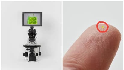 ബാഗ് കാണണമെങ്കില് ഭൂതക്കണ്ണാടി വേണം; വിലയോ 51 ലക്ഷം രൂപ!