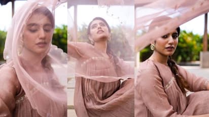 పైట ఎగరేస్తూ మత్తు చూపులతో గాలం వేస్తున్న ప్రియా వారియర్.. కుందనపు బొమ్మలా ఉందిగా 