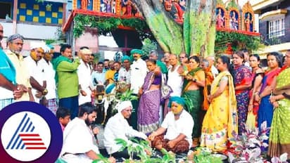 ಮಳೆಗಾಗಿ ಕತ್ತೆಗಳ ಮದುವೆ: ಪುರೋಹಿತರ ಮಂತ್ರಘೋಷಗಳೊಂದಿಗೆ ಶಾಸ್ತ್ರೋಕ್ತವಾಗಿ ನಡೆದ ಮದುವೆ!  