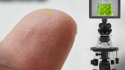 "என்னது கல் உப்பை விட சின்ன சைஸ் பேக்கா".. பிரபல நிறுவனம் சாதனை - ஏலத்தில் என்ன விலை போனது தெரியுமா?