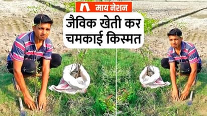 बरेली के सर्वेश कुमार से 300 किसान लेते हैं जैविक खेती का IDEA, कभी सेना में होना चाहते थे भर्ती