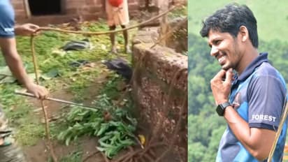 നല്ല അനുസരണയുള്ള 'പാമ്പ്'; നാട്ടുകാർക്ക് മുന്നിൽ ഷോയില്ലാതെ ശംഖുവരയന്റെ റസ്ക്യൂ - വീഡിയോ വൈറലാവുന്നു