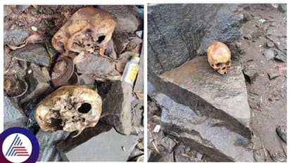 ಬೆಳಗಾವಿ-ಮಹಾರಾಷ್ಟ್ರ ಗಡಿಯಲ್ಲಿ 4 ತಲೆಬುರುಡೆ ಪತ್ತೆ, ಬೆಚ್ಚಿಬಿದ್ದ ಜನ!