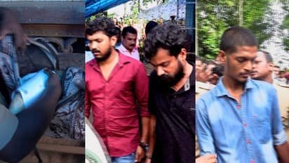 പട്ടിമറ്റത്തെ ആനക്കൊമ്പ് വേട്ട;  ആര് മുറിച്ചെടുത്തു, എങ്ങനെ കിട്ടി, ഉറവിടം നിലമ്പൂർ ? അന്വേഷണം