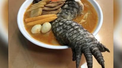  വിചിത്ര ഭക്ഷണം വിളമ്പി റെസ്റ്റോറെന്‍റ്; കണ്ടിട്ടു തന്നെ പേടിയാകുന്നുവെന്ന് ആളുകള്‍...