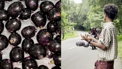 'ക്ഷാമകാലമാണ് നിത്യ ചെലവ് നടക്കണ്ടേ?' വന്യമൃഗങ്ങളെ പോലും ഭയക്കാതെ വയനാടന് മധുരവുമായി വഴിയോരത്ത് കുട്ടികള്