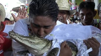 നൂറ്റാണ്ടുകൾ പഴക്കമുള്ള ആചാരം, മുതലയെ വിവാഹം ചെയ്ത് മേയർ