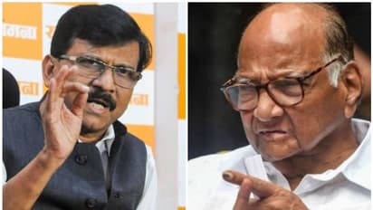 അട്ടിമറിക്ക് പിന്നാലെ ശരത് പവാർ പറഞ്ഞത്, വെളിപ്പെടുത്തി സഞ്ജയ് റാവത്ത്, 'ഉദ്ധവിനൊപ്പം എല്ലാം പുനഃനിർമ്മിക്കും'