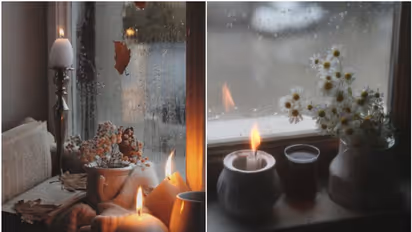 10 Effective Tips to Keep Your House Smelling Fresh During Monsoon