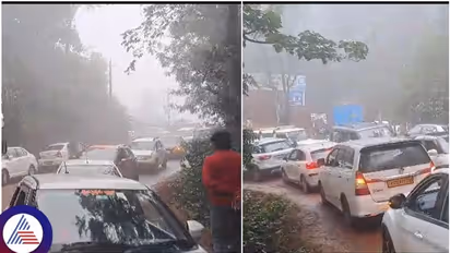 Tourists banned from visiting Mullayanagiri in Chikkamagaluru over landslide, hefty rainfall