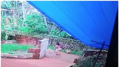 വീണ്ടും തെരുവുനായ് ആക്രമണം: കൂട്ടത്തോടെ പാഞ്ഞടുത്ത നായ്ക്കളിൽ നിന്നും യുവതി രക്ഷപ്പെട്ടത് തലനാരിഴയ്ക്ക്!