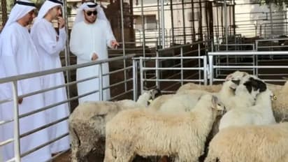 குர்பானி கொடுக்கும் முறையை இந்த நாடுகளில் இருந்து கற்றுக்கொள்ளுமா இந்தியா?