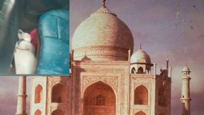 ನಾಯಿಯ ಕಾರೊಳಗೆ ಬಿಟ್ಟು ತಾಜ್‌ಮಹಲ್ ನೋಡಲು ಹೋದ ಪ್ರವಾಸಿಗರು: ಉಸಿರುಕಟ್ಟಿ ಶ್ವಾನ ಸಾವು