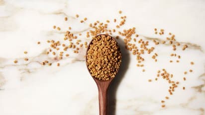 മുടികൊഴിച്ചിൽ കുറയ്ക്കാൻ പരീക്ഷിക്കാം ഉലുവ കൊണ്ടുള്ള ഈ ഹെയർ പാക്കുകൾ