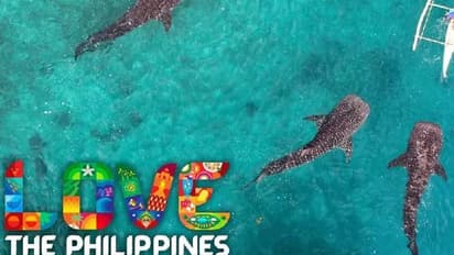 ടൂറിസം പ്രോത്സാഹിപ്പിക്കാനുള്ള വീഡിയോയിൽ മറ്റ് രാജ്യങ്ങൾ, ഖേദം പ്രകടിപ്പിച്ച് ഫിലിപ്പീൻസിലെ പരസ്യ ഏജന്‍സി