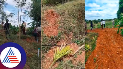 400ಕ್ಕೂ ಅಡಿಕೆ ಸಸಿಗಳು ಕಿತ್ತುಹಾಕಿದ ದುಷ್ಕರ್ಮಿಗಳು; ಕಷ್ಟಪಟ್ಟು ಬೆಳೆದಿದ್ದ ರೈತ ಕಂಗಾಲು!
