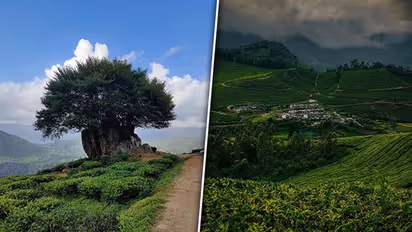 Munnar to Ponmudi: 10 hill stations that Kerala boasts off