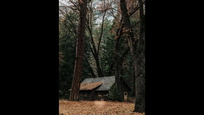 అసోంలోని ఈ గ్రామంలో ఒకే కుటుంబం నివసిస్తున్నది. ఎందుకో తెలుసా?