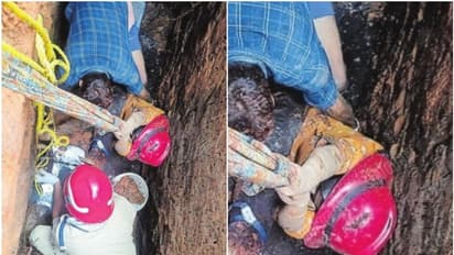 സെപ്റ്റിക് ടാങ്കിന്‍റെ സ്ലാബ് പൊട്ടി, മുറ്റമടിക്കുന്നതിനിടെ യുവതി മാലിന്യക്കുഴിയിൽ വീണു; രക്ഷകരായി ഫയർഫോഴ്സ്
