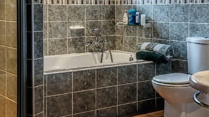 30 ലക്ഷം രൂപയുടെ ഡയമണ്ട് മോതിരം മോഷ്ടിച്ചു, പൊലീസിനെ ഭയന്ന് ടോയ്‍ലെറ്റിലിട്ട് ഫ്ലഷ് ചെയ്തു