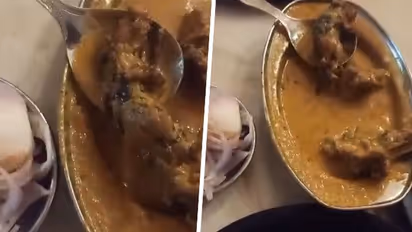 WATCH: Ludhiana man posts video of dead rat in restaurant food; leaves netizens shocked