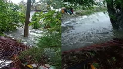 ചെല്ലാനത്തിന് കടൽഭിത്തിയുടെ സുരക്ഷ, തൊട്ടടുത്ത് കണ്ണമാലിയിൽ വീടുകളിലേക്ക് വെള്ളം ഇരച്ചുകയറി