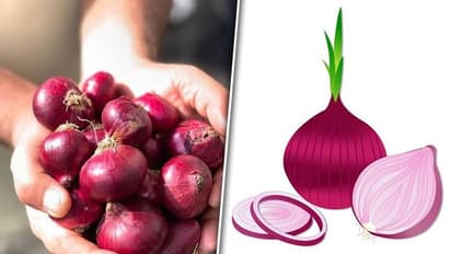Cardiovascular health to Bone health: 7 benefits of Onion in everyday diet