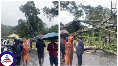  ಕೊಡಗಿನಲ್ಲಿ ವಿಪರೀತ ಮಳೆ, ಮಡಿಕೇರಿ-ಮೈಸೂರು ನಡುವೆ ಸಂಚಾರ ಸ್ಥಗಿತ