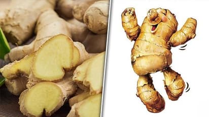 Easing Menstrual discomfort to managing nausea and morning sickness: 7 wonder benefits of Ginger