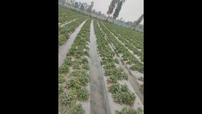   రైతుల నీటి కష్టాలకు చెక్ పెట్టిన యువకుడు..!