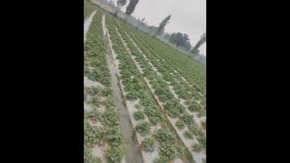 ಕೃಷಿ ಪೂರಕ ಚಟುವಟಿಕೆಯಿಂದ ಉನ್ನತಿ: ಸಚಿವ