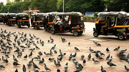 കാണാതെ പോയ ഐ-ഫോൺ കണ്ടെത്താൻ സഹായിച്ച് ഓട്ടോക്കാരും സ്വിഗ്ഗി ഡെലിവെറി ഏജന്‍റും...